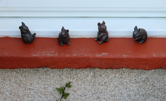 Four Little Mice Capering!