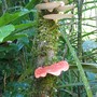 Img_0483s