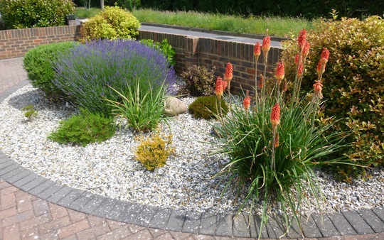Front garden today