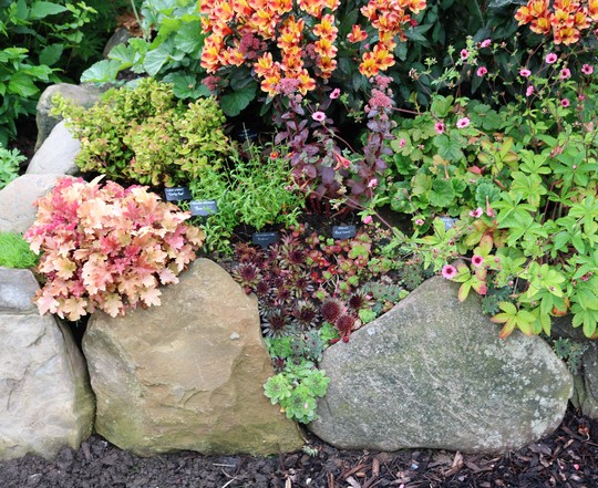 Rock Planting