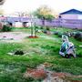 Changing Landscape
