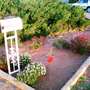 Mailbox Garden