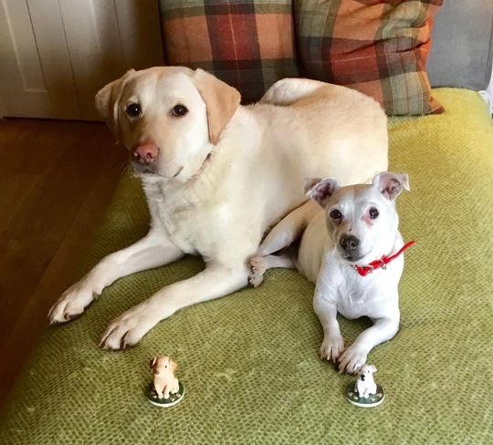 Willow and Molly