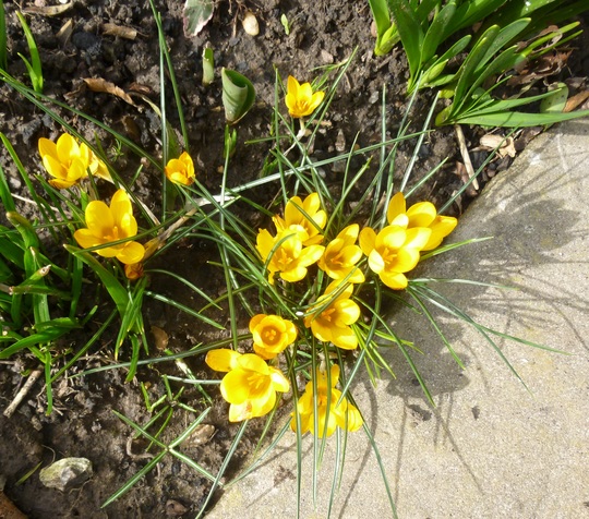 Spring is here!