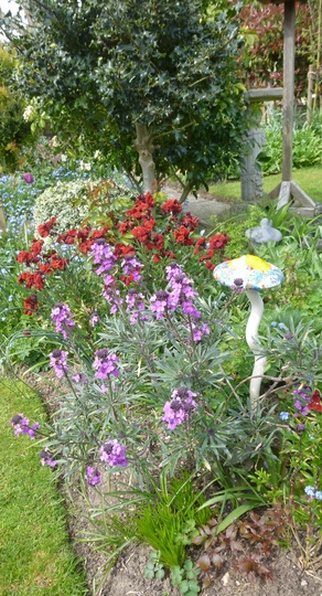 Wallflowers