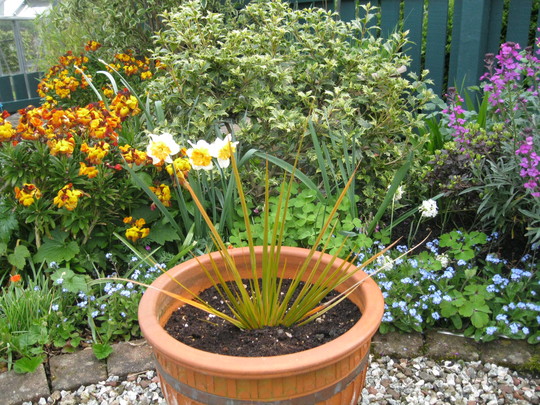 Sunny corner