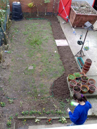 before the garden bloomed