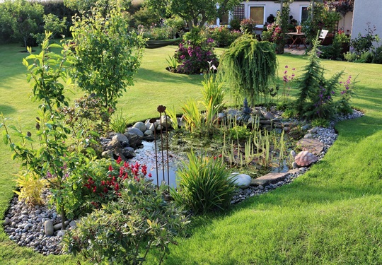 Evening Pond Light