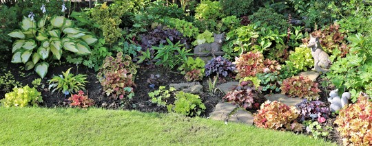 Heuchera Corner 2