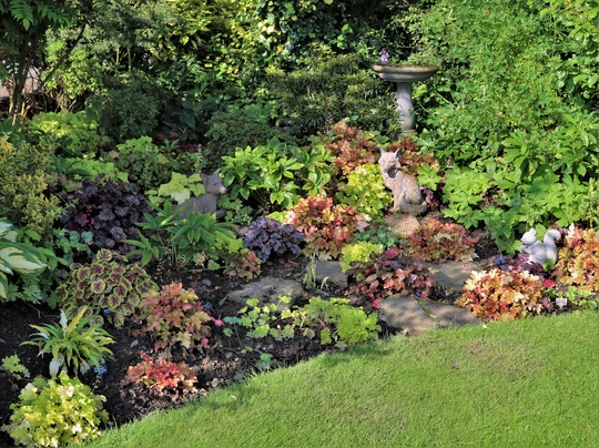 Heuchera Corner 3