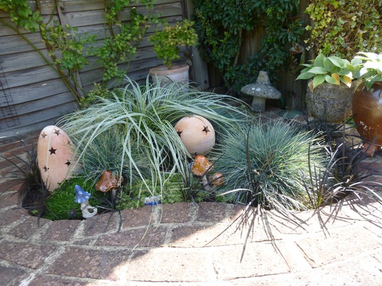 Grasses