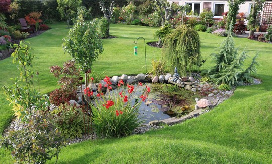 Wildlife Pond
