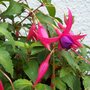 Picture_216