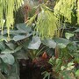 Img_0570