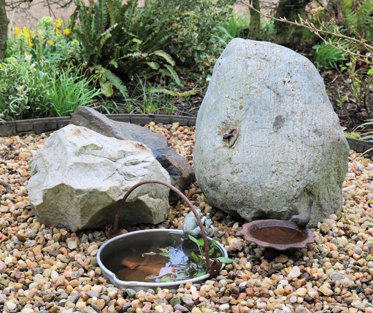 Close Up of Very Small Pond :)