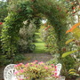 August_12_2008_003.jpg