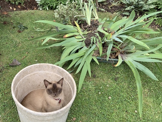 Garden supervisor.