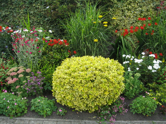 Close up of front border..