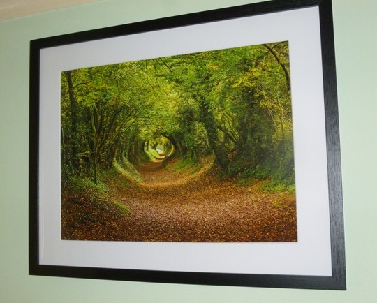 New framed photo