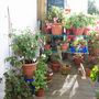 Picture_381