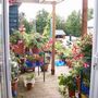 Picture_362