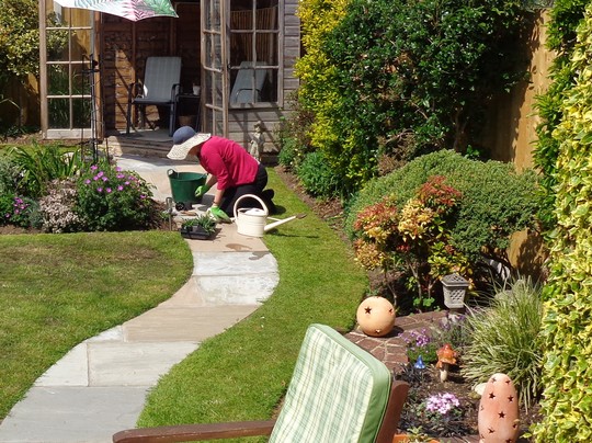 Planting in the sunshine