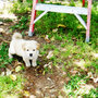Dsc02238