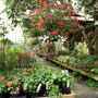 Nursery_mt