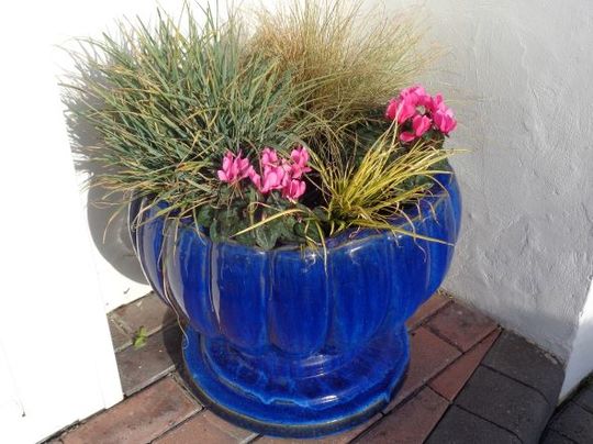 Front door pot (1)