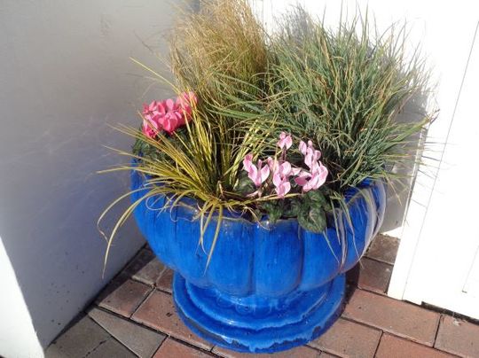 Front door pot (2)