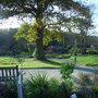Harlow Carr