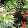View of the water cascade and the ferny Grotto. August 23rd 2008.