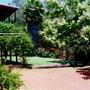House_lawn