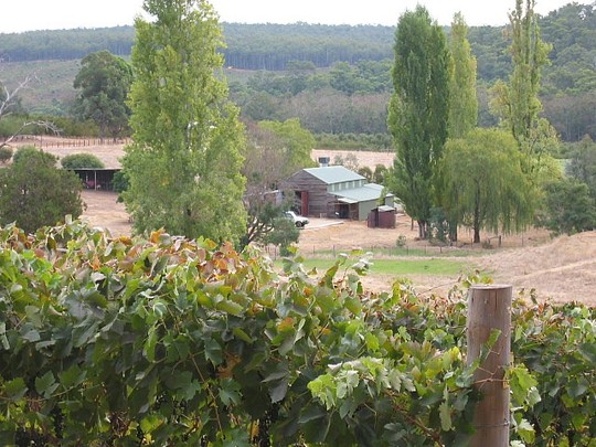 Shiraz