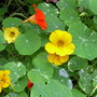 Captured_2007-9-1_00002