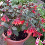 Captured_2007-9-23_00010