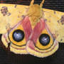 IO Moth