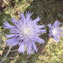 2008-07-29_058