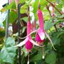 Picture_031