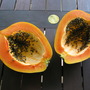 Carica papaya