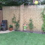 fence
