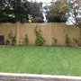 fence