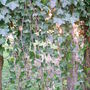 Dscf0157