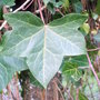 Dscf0160