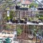my greenhouse April 2002