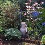 Pot in border 