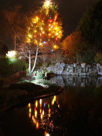 CHRISTMAS IS COMING