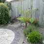 maz's garden