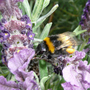 P1010791_edited-1.jpg