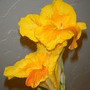 2008_0831aug17-310058